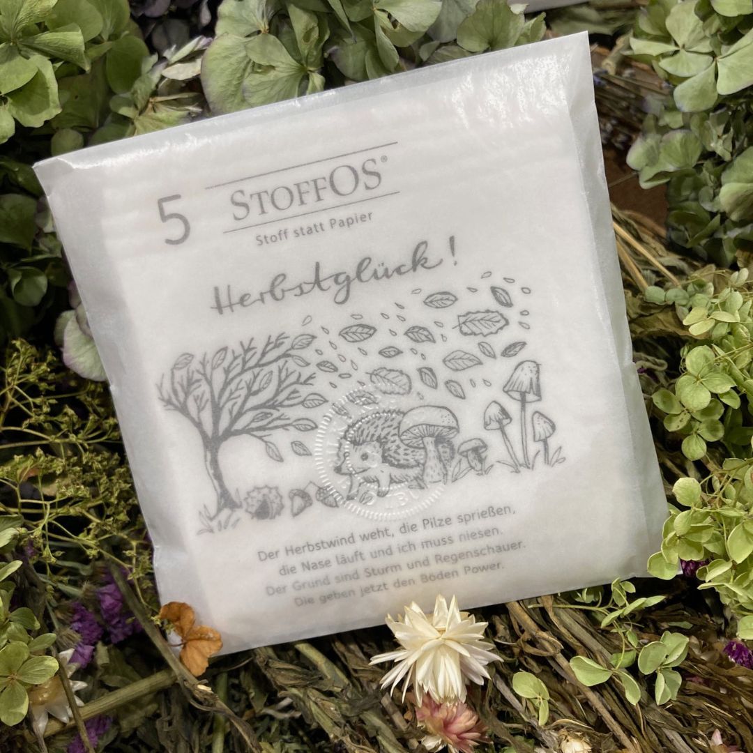 Stofftaschentücher, weiß, 5er Pack Verpackungsmotiv HERBSTGLÜCK BioBW Jersey Fünf StoffOS mit dem Herbstglück Motiv auf der Verpackung in kieselgrau liegen in einer Pergamintüte mitten in einem Herbsttrockenbett mit Astern. Das Bild des Verpackungsmotivs hat Nele Jamin von mach-werk aus der Igelperspektive gezeichnet. Links biegt sich ein Baum im Sturm, Blätter wehen durch die Luft. Am Boden die üblichen Herbstgefährten: Kastanien, Eicheln, Pilze und ein Igel.